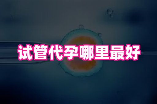 江苏助孕网 1
