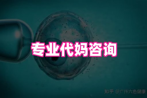 江苏助孕网 4